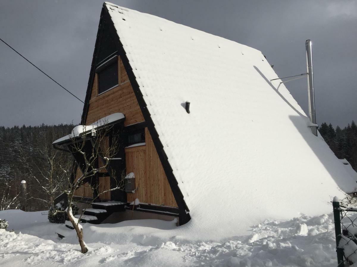 Willa Haus Fichtelgebirge Nagel Zewnętrze zdjęcie